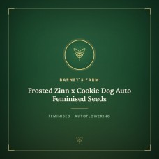 Frosted Zinn x Cookie Dog Auto Feminised Seeds Frosted Zinn x Cookie Dog Auto Feminised Seeds