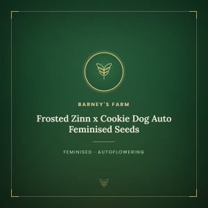 Frosted Zinn x Cookie Dog Auto Feminised Seeds