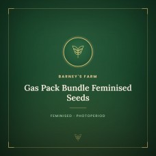Gas Pack Bundle Feminised Seeds Gas Pack Bundle Feminised Seeds