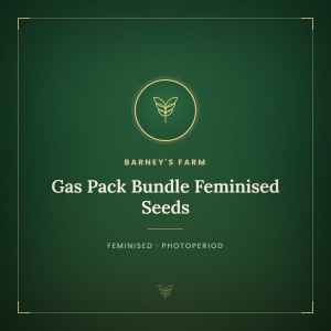 Gas Pack Bundle Feminised Seeds Gas Pack Bundle Feminised Seeds