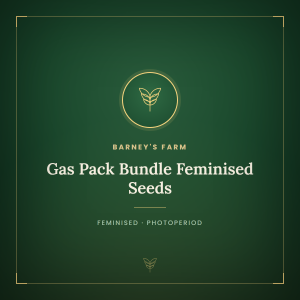 Gas Pack Bundle Feminised Seeds Gas Pack Bundle Feminised Seeds