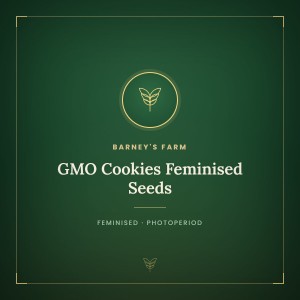 GMO Cookies Feminised Seeds