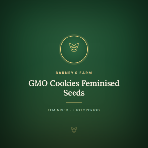 GMO Cookies Feminised Seeds GMO Cookies Feminised Seeds