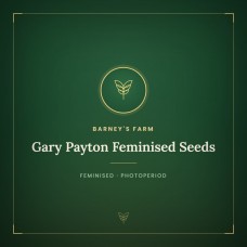 Gary Payton Feminised Seeds Gary Payton Feminised Seeds