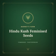 Hindu Kush Feminised Seeds Hindu Kush Feminised Seeds