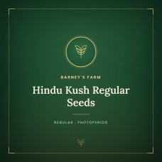 Hindu Kush Regular Seeds