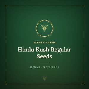 Hindu Kush Regular Seeds
