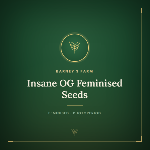 Insane OG Feminised Seeds