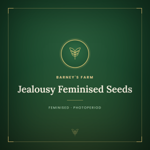 Jealousy Feminised Seeds Jealousy Feminised Seeds