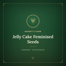 Jelly Cake Feminised Seeds Jelly Cake Feminised Seeds