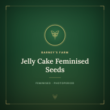 Jelly Cake Feminised Seeds Jelly Cake Feminised Seeds