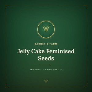 Jelly Cake Feminised Seeds