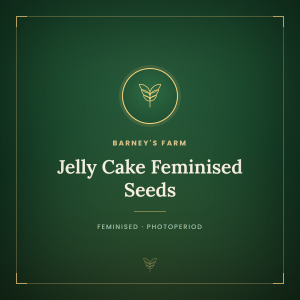 Jelly Cake Feminised Seeds