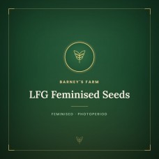 LFG Feminised Seeds