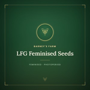 LFG Feminised Seeds