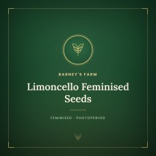 Limoncello Feminised Seeds