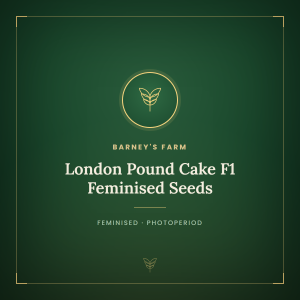London Pound Cake F1 Feminised Seeds