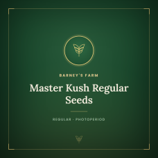 Master Kush Regular Seeds Master Kush Regular Seeds