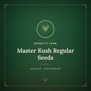 Master Kush Regular Seeds