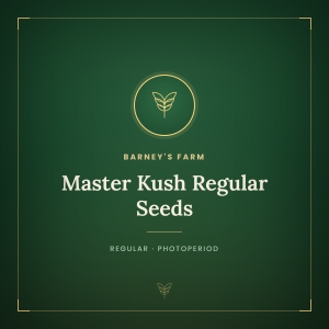 Master Kush Regular Seeds
