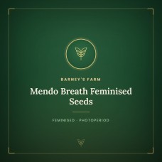 Mendo Breath Feminised Seeds