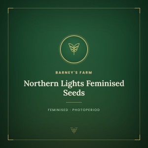 Northern Lights Feminised Seeds