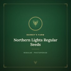Northern Lights Regular Seeds