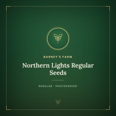 Northern Lights Regular Seeds Northern Lights Regular Seeds