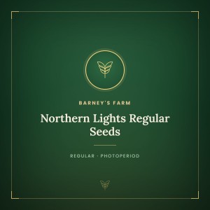Northern Lights Regular Seeds