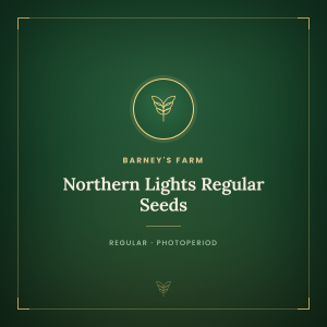 Northern Lights Regular Seeds Northern Lights Regular Seeds