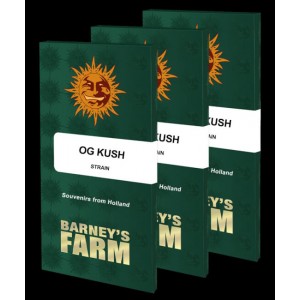 OG Kush Feminised Seeds OG Kush Feminised Seeds