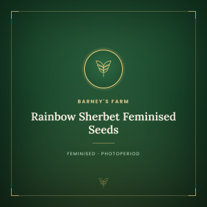 Rainbow Sherbet Feminised Seeds