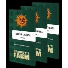 Sour Diesel Feminised Seeds Sour Diesel Feminised Seeds