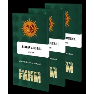 Sour Diesel Feminised Seeds Sour Diesel Feminised Seeds