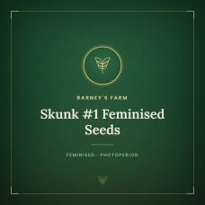 Skunk #1 Feminised Seeds Skunk #1 Feminised Seeds