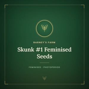 Skunk #1 Feminised Seeds Skunk #1 Feminised Seeds