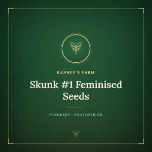 Skunk #1 Feminised Seeds Skunk #1 Feminised Seeds
