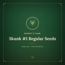 Skunk #1 Regular Seeds Skunk #1 Regular Seeds