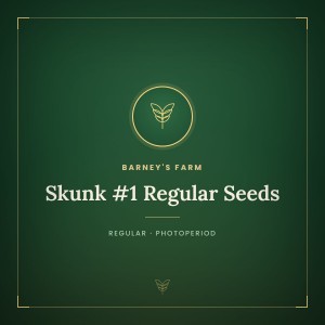 Skunk #1 Regular Seeds