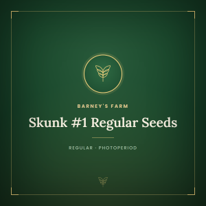 Skunk #1 Regular Seeds Skunk #1 Regular Seeds