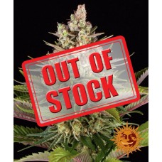 Sour Strawberry Feminised Seeds Sour Strawberry Feminised Seeds