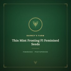 Thin Mint Frosting F1 Feminised Seeds Thin Mint Frosting F1 Feminised Seeds