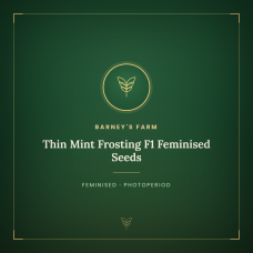 Thin Mint Frosting F1 Feminised Seeds Thin Mint Frosting F1 Feminised Seeds