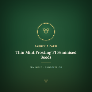 Thin Mint Frosting F1 Feminised Seeds