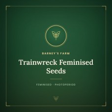Trainwreck Feminised Seeds