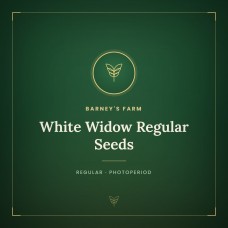 White Widow Regular Seeds
