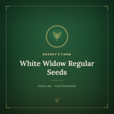 White Widow Regular Seeds White Widow Regular Seeds