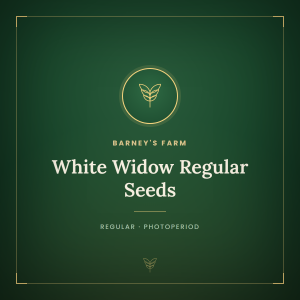 White Widow Regular Seeds White Widow Regular Seeds