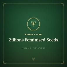 Zillions Feminised Seeds Zillions Feminised Seeds