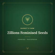 Zillions Feminised Seeds Zillions Feminised Seeds